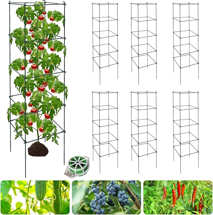 6 Packs Tomato Cages for Garden, 12"×12"×48" Plant Support Cage with Different Spacing, Green Metal Trellis for Climbing Plants Like Cucumber, Flowers