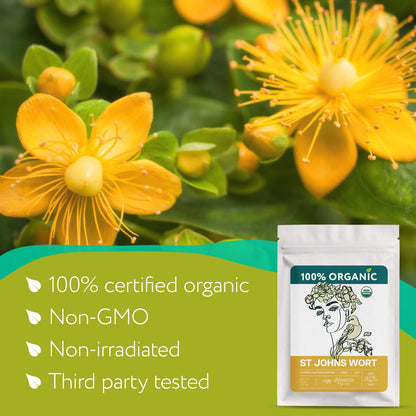 Organic St Johns Wort Herb (4 oz.) – 100% Pure Dried Saint John’s Wort Tea – Te de Hierba de San Juan Organica