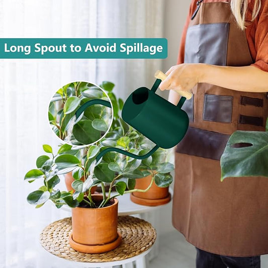 Watering Can Indoor Plants, 35oz Small Indoor Stainless Steel Metal Watering Can Modern Decorative Watering Pot with Long Spout for Indoor House Plant Bonsai Garden Flowers (Alpinegreen)