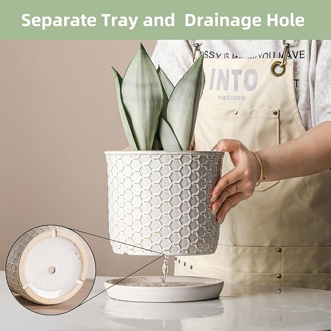 8 Inch Plant Pot: Ceramic Planter with Drainage Hole & Saucer - Flowerpot for Indoor & Outdoor Plants with Separate Tray for Home & Office - Honeycomb Design, Cream White