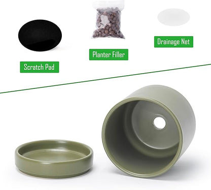 D'vine Dev Set of 2 Plants Pots, 4.7 Inch Ceramic Planter Pot for Plants with Drainage Hole and Saucer, Olive, 94-V-B-J