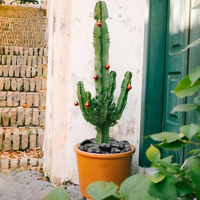 20 lbs Large Black River Rocks for Garden, 2-3 inch Polished Pebbles for Plants. Decorative Stones for Planters Landscaping Vase Aquarium and Fish Tank