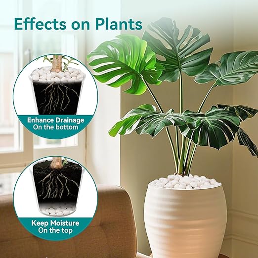 20 lbs White Rocks for Landscaping, 1-2 inch Decorative Rocks for Plants Indoor, Large Polished River Rocks for Garden, Outdoor Landscaping, Walkways, Yard, Plants Pots, Vases, Crafts