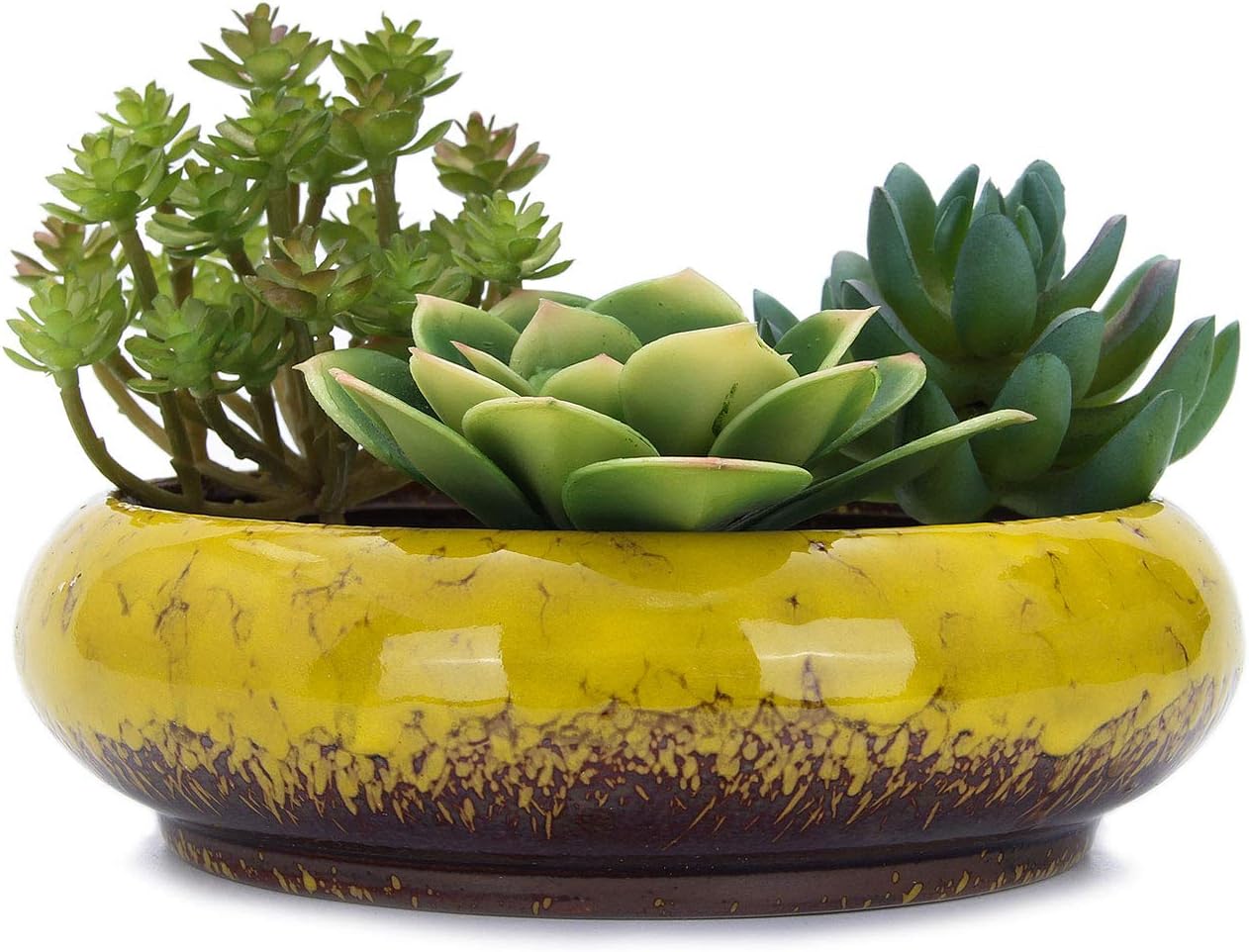VanEnjoy 7.3 inch Round Large Shallow Succulent Ceramic Glazed Planter Pots with Drainage Hole, Bonsai Pots Garden Decorative Cactus Stand Flower Container (Yellow)