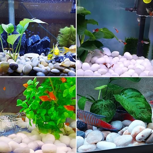 10LB White Pebbles for Plants,1-2.2 Inch Polished Stones for Indoor Pants, Decorative River Rocks for Landscaping. Succulents, Crafting,Fish Tank,Garden,Vase Filler, Outdoor Decoration