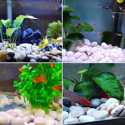 5LB Polished White River Rocks for Plants,1-2.2 Inch Polished Pebbles for Garden Decoration Stones for Landscaping Aquarium Fish Tank Succulents