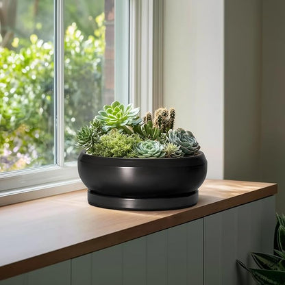 Bonsai Pots 13 Inch - Large Ceramic Succulent Pots with Drainage Hole and Tray, Round Planter Bowl Indoor Outdoor, Modern Shallow Planters, Home Living Room Decor, Gardening Gifts, Black