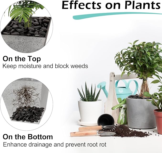 GASPRO 8lb Black River Rocks for Plants, Vases, 1 to 2 Inch Decorative Pebbles for Pots Indoor, High Polished