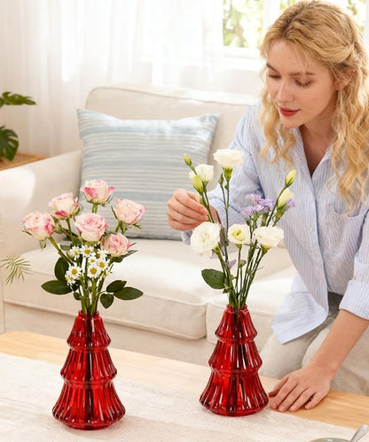 Nacome Christmas Tree Propagation Stations: 2PCS Plant Terrarium Glass Vases for Home Office Decor, for Plant Lovers Women Mom (Red)