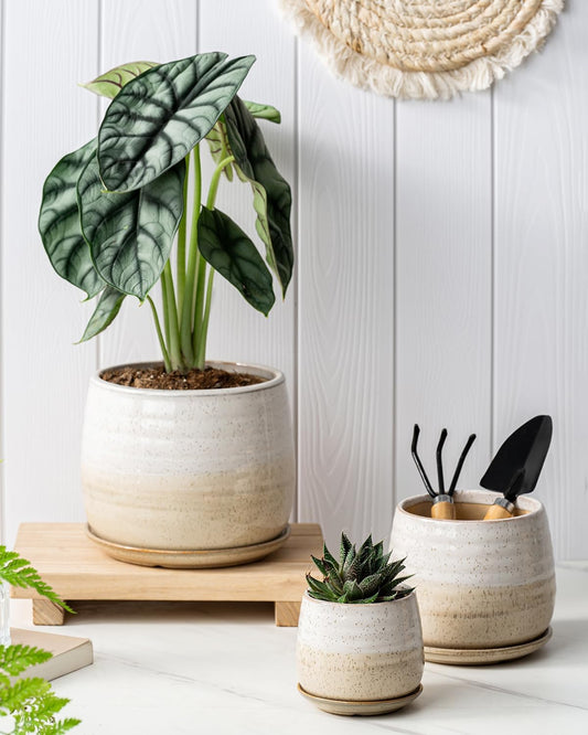 3 Pack Ceramic Small Plant Pots Planters for Indoor Flowers Plants with Drainage Holes & Saucer, Cactus Succulent, Home Decor, 3.4+4.7+6.1 Inch Flower Pot Set of 3, White