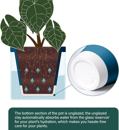 D'vine Dev 6 Inch Design Self Watering Planter for Indoor Plants, Blue Terracotta Pot with Cylinder Glass Cup, 37-X-B-4