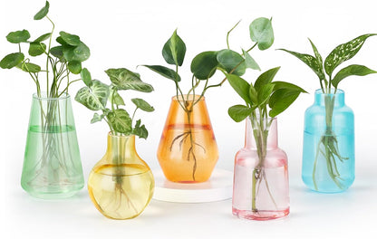 Mkono Propagation Vases for Plants, Set of 5 Small Glass Jar Planters for Hydroponic Cutting Flowers, Plant Station Bud Vases for Centerpieces Home Office Decor Gift (Colorful)