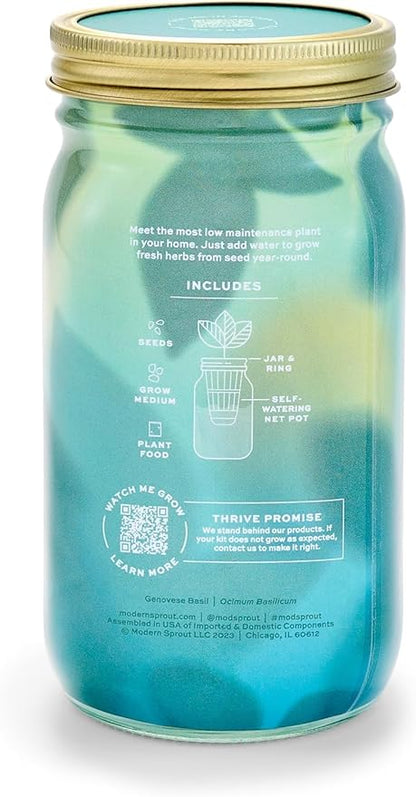 Modern Sprout Mason Garden Jar + Replant Kit - Self-Watering Hydroponics Growing System Kit w/Organic Herb Seeds - Jar Planter for Indoor Herb Garden - Seed Starter - Home Decor Gifting - Basil