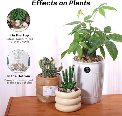 10lbs Rocks for Plants Indoor, 3/8 Inch Small Pebbles for Plants, Aquariums, Bamboo, Vase, Succulent, Outdoor Landscaping, Decorative Plant Rocks for Pots Indoor, Polished Mixed Color