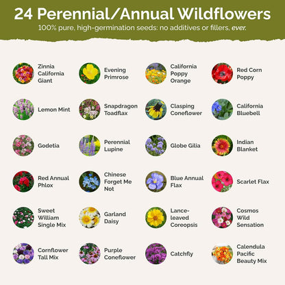 Eden Brothers Heirloom Flower Mixed Seeds for Planting, 1 lb, 480,000+ Seeds with Zinnia, Toadflax, Evening Primrose | Attracts Pollinators, Plant in Spring or Fall, Zones 3, 4, 5, 6, 7, 8, 9, 10