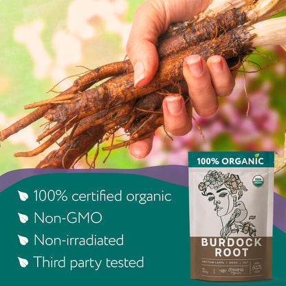 Super Value Pack 10 LB - Organic Burdock Root Tea - Greater Burdock Root Herb - Digestion, Liver Support, Fluid Balance, Healthy Skin