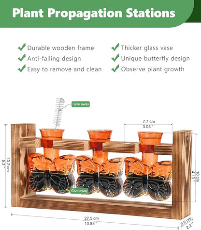 Nacome Butterfly Vase Propagation Stations: Glass Plant Terrarium with Wooden Stand for Home Office Desk Decor, Unique Gifts for Plant Lovers Women Mom (Orange)