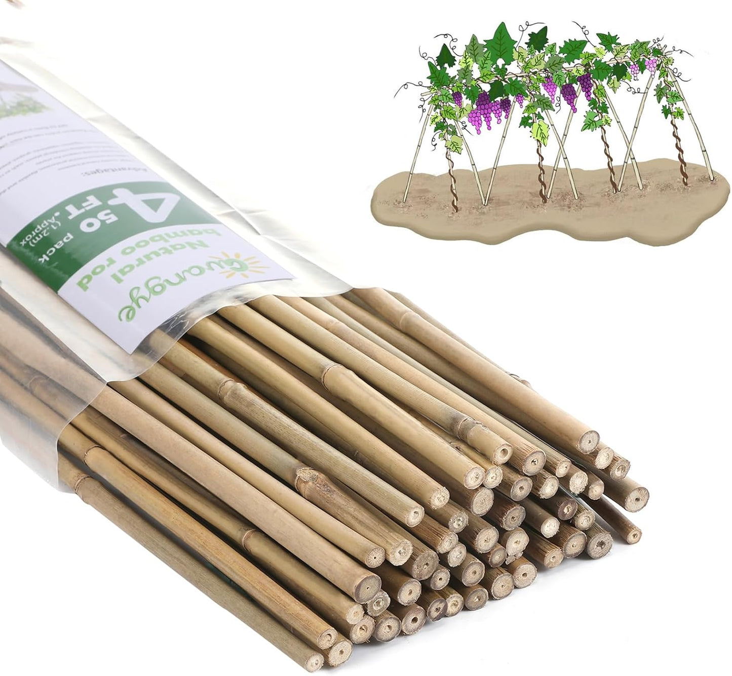 Plant Bamboo Post,4Feet,Bamboo Garden Stakes,50PcsBamboo Stakes,for Tomato,Beans,Vegetable and Flowers, Potted Plants,Indoor and Outdoor Climbing Plants