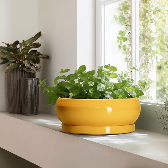 Ceramic Bonsai Pots - 13 Inch Large Succulent Pots with Drainage Hole and Saucer, Bonsai Planter for Indoor Outdoor, Round Shallow Bowl Planter, Garden House Decor, Plant Lover Gifts, Yellow