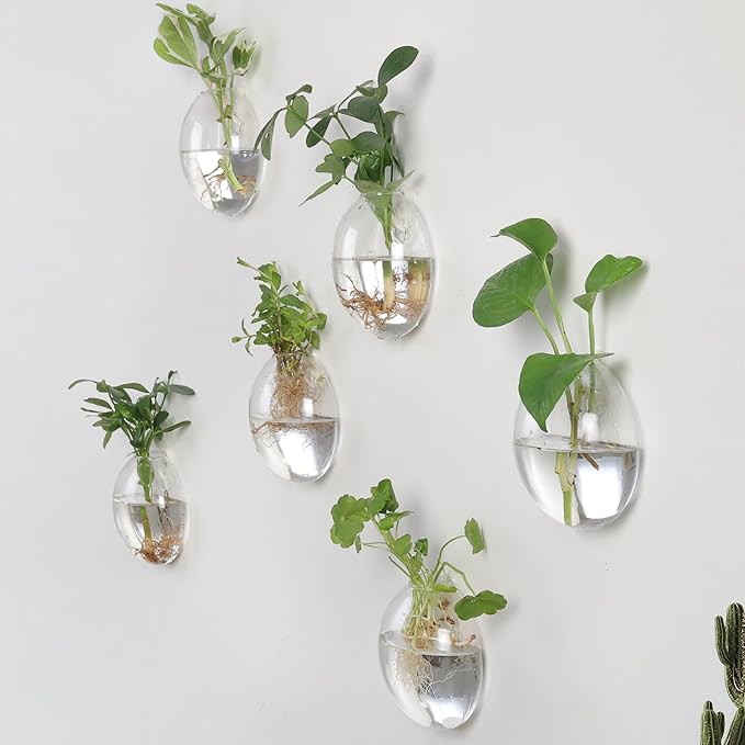 Wall Propagation Planters 6 Pack Glass Wall Planters Propagation Stations Wall Mount Plant Holder Wall Pots for Plants Indoor Wall Hanging Vases Terrariums Indoor Hydroponic Decor