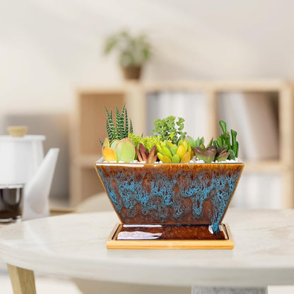 ARTKETTY Succulent Pots - 7 Inch Large Plant Pot with Drainage Tray, Shallow Ceramic Pots for Indoor Plants, Modern Cactus Bonsai Plant Container Decorative Home Office