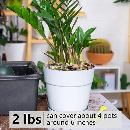 2LB Succulent and Cactus Colorful Pebbles, 3/8 Inch Pebbles for Indoor Plants, Natural Decorative Polished River Rocks for Vases, Planters and Outdoor Gardening