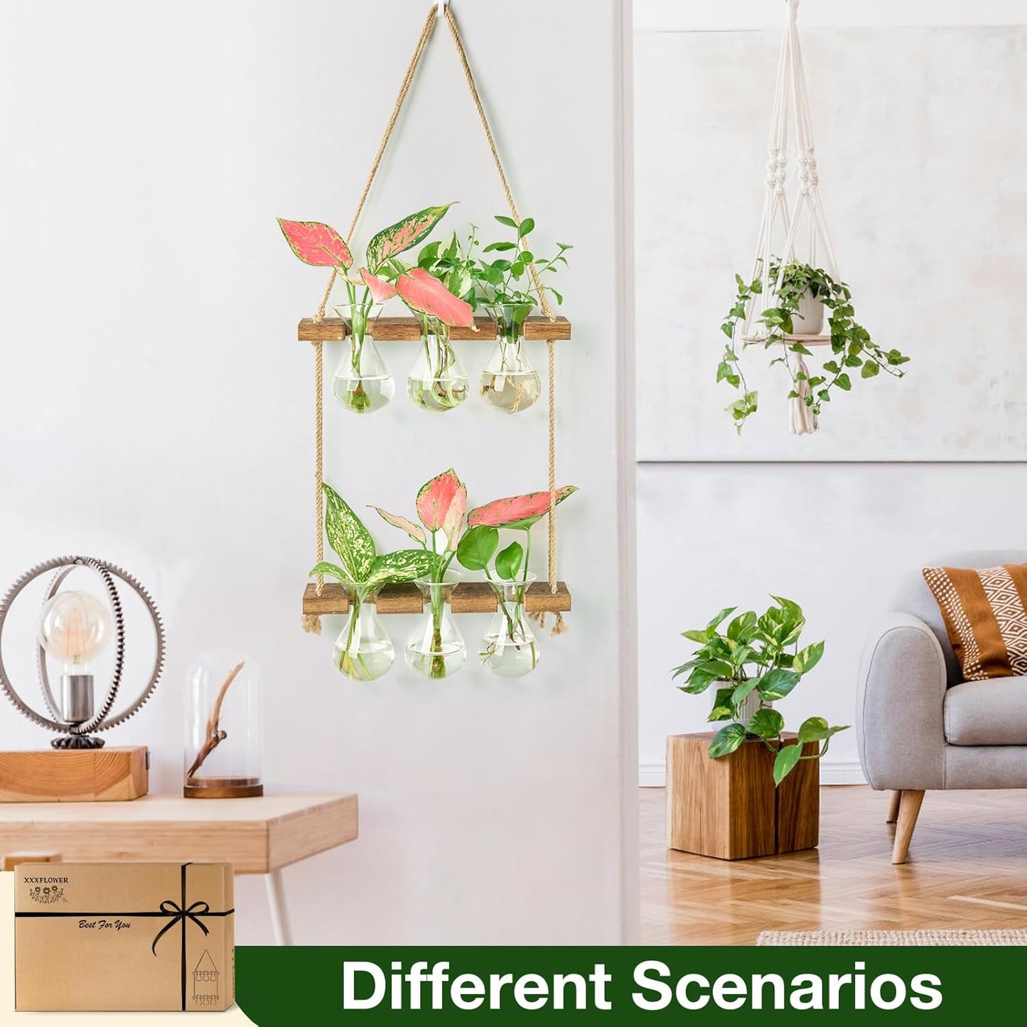 XXXFLOWER Wall Hanging Propagation Station with Wooden Stand 3 Bulb Vase 2 Tiered Planters Wall Terrarium for Home Office Plant Hanger Flower Vases Wall Decor(Brown)