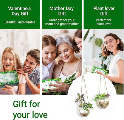 Propagation Station, Plants Terrarium, Plants Lover Gifts for Women,Plant Cutting Holder Home décor,Gifts for Women,House Warming New Home-2 Bowl Shape