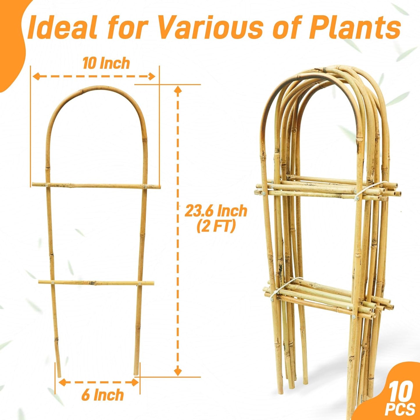 Avalution 10 Pack Bamboo U Trellis for Climbing Plants, 2ft Garden Ladder Trellis for Potted Plants Indoor, Ladder Small Plant Support Trellis for Houseplants Ivy Hoya Vine Monstera