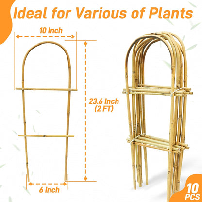 Avalution 10 Pack Bamboo U Trellis for Climbing Plants, 2ft Garden Ladder Trellis for Potted Plants Indoor, Ladder Small Plant Support Trellis for Houseplants Ivy Hoya Vine Monstera