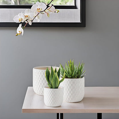 Docrin Plant Pots Indoor with Drainage: 6.4+5.3+4 Inch Ceramic Flower Pots for Plants - Set of 3 Modern Decorative Planters for House/Office/Gift - White Honeycomb