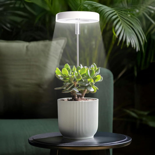 Grow Lights for Indoor Plants Small Potted - Full Spectrum, Auto 3/9/12H Timer, 10-Level Dimming & Adjustable Height - Compact Grow Light for Succulents, Herbs, Foliage in Home/Office (White,2PACKS)