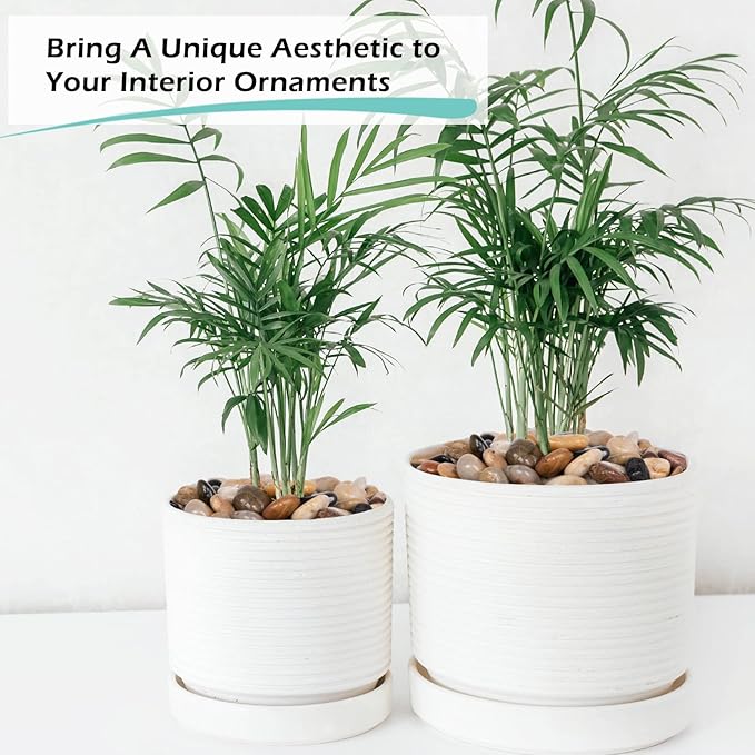 GASPRO 8lb Natural River Rocks, Decorative Rocks for Planters, Pots Indoor, Landscaping in Garden, Vases, Aquarium, Polished River Stones, 1-1 3/4 Inch