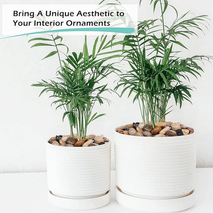 GASPRO 8lb Natural River Rocks, Decorative Rocks for Planters, Pots Indoor, Landscaping in Garden, Vases, Aquarium, Polished River Stones, 1-1 3/4 Inch