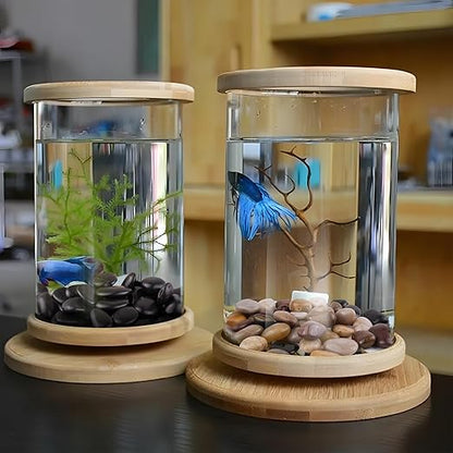 2lbs Black Pebbles for Indoor Plants, 1-2Inch Natural River Rocks for Aquarium, High Polished Decorative Stones for Vase Filler Fish Tank Landscaping Garden