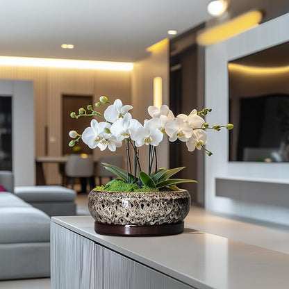 Succulent Pots 10 Inch - Ceramic Bonsai Pots with Drainage Hole and Tray, Large Succulent Planters, Shallow Planter Indoor, Round Planter Bowl, Window Decor, Gifts for Plant Lovers, White