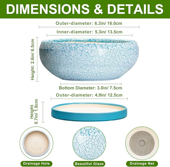 Bonsai Pots Small - 6 Inch Succulent Pots with Drainage Hole and Saucer, Succulent Planters for Indoor Outdoor, Shallow Plant Pot, Round Bonsai Planter, Office Decor, Plant Lover Gifts, Blue