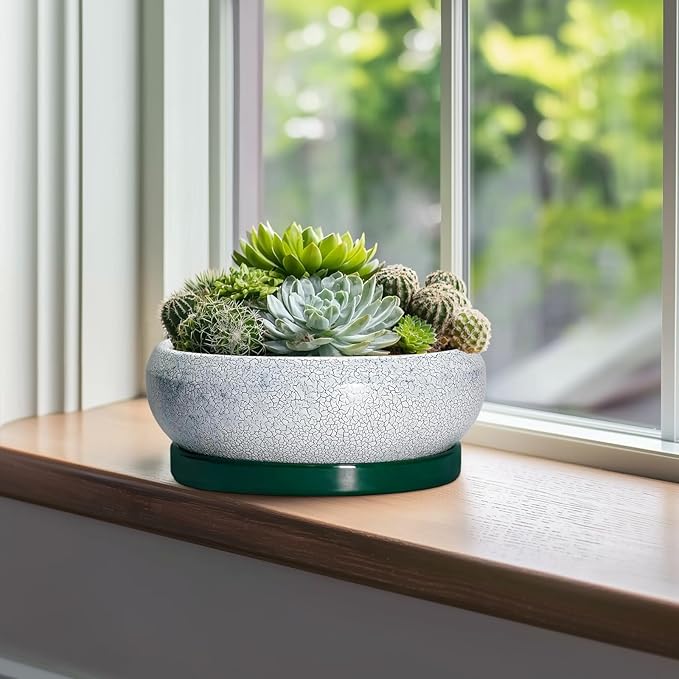 Succulent Planters 10 Inch - Ceramic Bonsai Pots with Drainage Hole and Saucer, Large Succulent Pots Indoor, Shallow Planter, Round Bowl Planter Outdoor, Patio Decor, Plant Lover Gift, Green