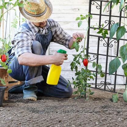 4 Pack 72x20in Rustic Iron Arch Decoration Garden Trellis with Black Metal Coating – Perfect for Supporting Climbing Plants Outdoor, Roses, Vines, Flowers, and Vegetables.