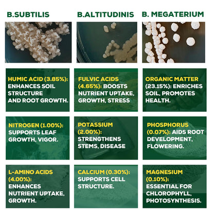 Organic Liquid Plant Food for Indoor Plants & Gardens, Natural NPK Fertilizer w/Beneficial Microbes, Rapid Results, Vegan, Best Value Super Concentrate, Smart Grower, Makes 160 Gallons (32 Fl Oz)