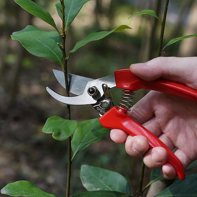 7" Small Pruning Shears Garden Shears - Premium Alloy Steel Bypass Pruner, Precision-ground Blades, Heavy Duty Gardening Tools, Red