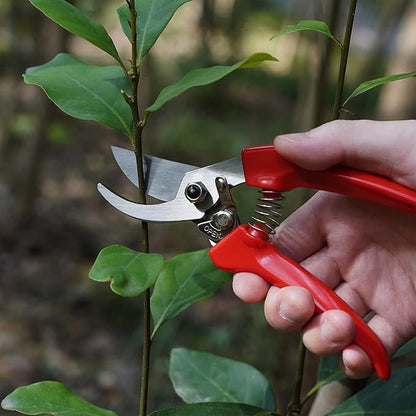7" Small Pruning Shears Garden Shears - Premium Alloy Steel Bypass Pruner, Precision-ground Blades, Heavy Duty Gardening Tools, Red