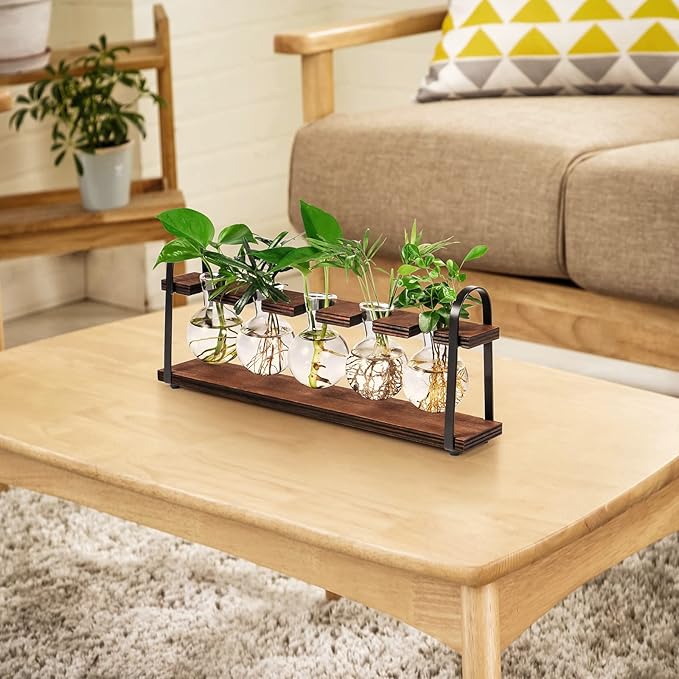 THYGIFTREE Plant Propagation Stations with Wooden Stand, Desktop Retro Plant Terrarium Bulb Vase for Indoor Hydroponic Flowers, Tabletop Glass Planter Housewarming Gifts for Plant Lovers