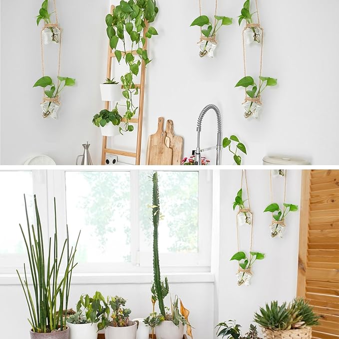 XXXFLOWER Wall Hanging Propagation Station，2 Tired Star Shaped Glass Flower Vase for Hydroponic Planter Terrarium for Plant Cutting Home Office Living Room Garden Decor