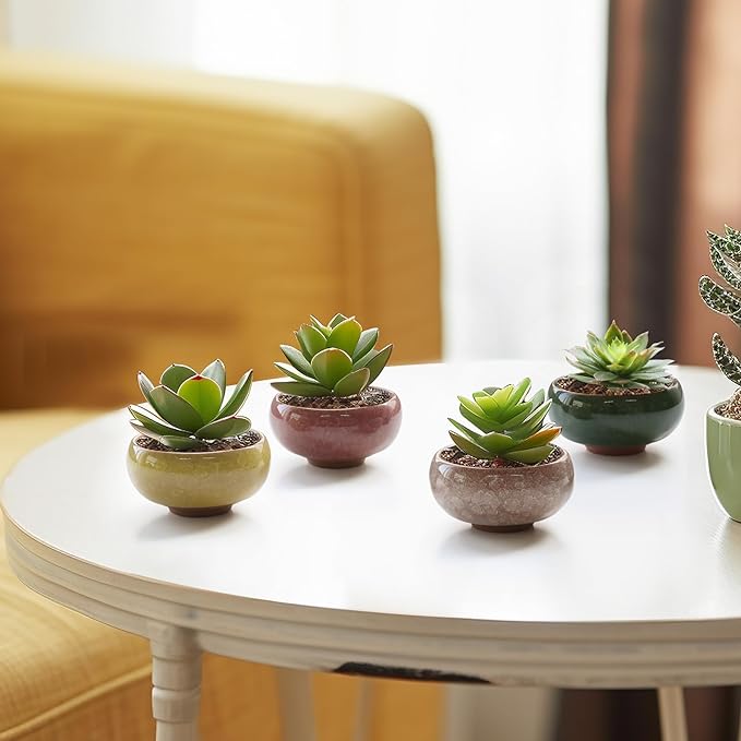 T4U 2.5 Inch Small Ceramic Succulent Planter Pot with Drainage Hole Set of 6, Ice Crack Glaze Plant Container for Cactus, Gardening Plant Gifts for Women Mom Aunt Home Office Decor