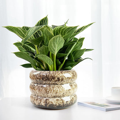 Ceramic 6 inch Plant Pot - Planter for Indoor Plants with Drainage Hole, Flower Pots for Orchid, Succulent,Outdoor Plants, Modern Glaze Planters for Home Office Decor Gift