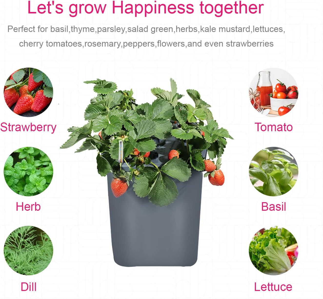 4 Hydroponic Buckets Kit for Plants, Hydroponics Growing System for Herbs/Tomato/Vegetables, DWC System with Air Pump & Germination Tray (Complete Indoor Hydroponic Gardening Supplies)