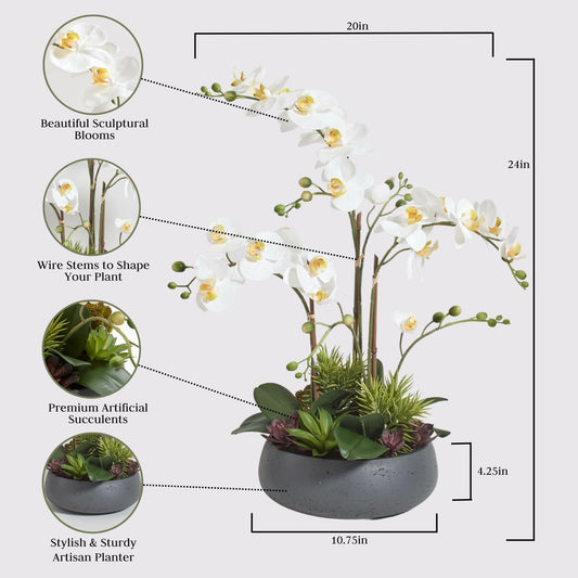 Faux Orchid Plant w/Succulents, Premium Artificial Indoor Flower Display Stands 24” w/Beautiful Sculptural Blooms and Succulents That Lasts Forever, Grey Planter Pot Included
