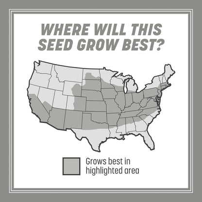 Pennington Contractors Grass Seed Mix Central 7 lb