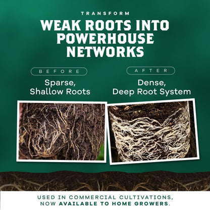 DYNOMYCO Granular Mycorrhizal Fungi Inoculant, 750g / 26.50oz – Boosts Root Growth, Yields & Nutrient Uptake – 900 Propagules/g, Concentrated Granules, & OMRI Listed – Biofertilizer for Plant Growth